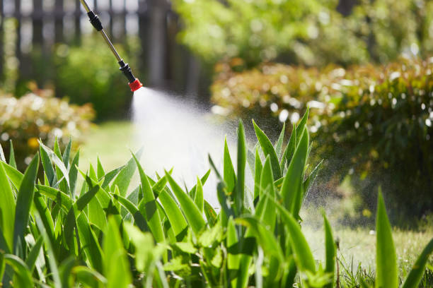 Tamper-Resistant Bait Stations for Rodents in Grand Terrace