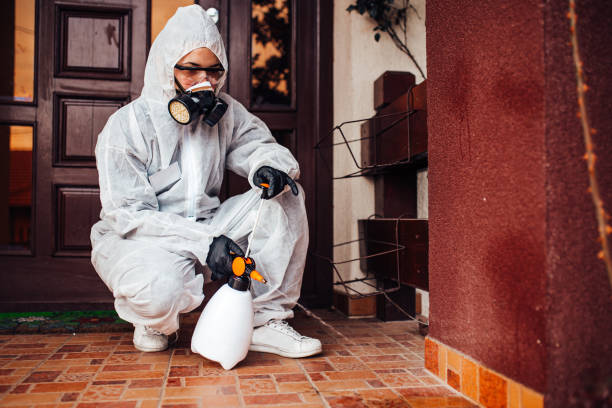 Attic and Crawl Space Rodent Treatment in Grand Terrace